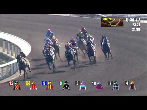 5/12/2021 (228) Valiant Elegance - L Hewitson