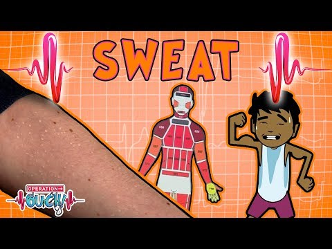Science for kids | SMELLY SWEAT | Experiments for kids | Operation Ouch