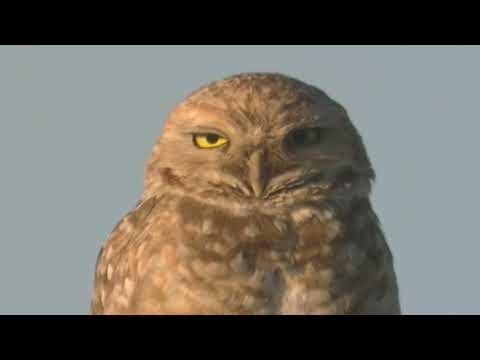 Pequeña recorrida rural Esperanza Santa Fe Argentina 2026