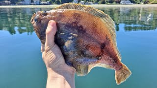 Dash Point State Parkでヒラメ・カレイ釣り