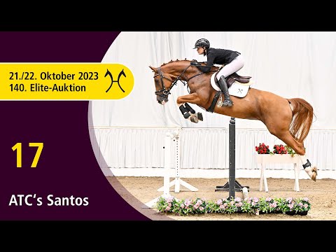 140th Elite-Auction - Oct. 21/22 - No. 17 Santos by Stanley - Cashman