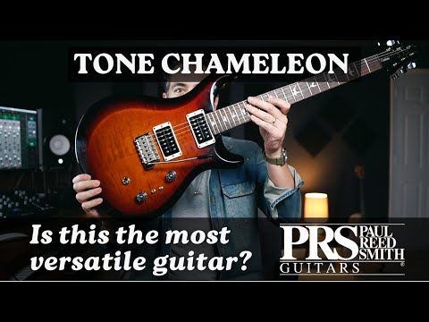 PRS S2 Custom 24 Electric Guitar - Elephant Grey image 10