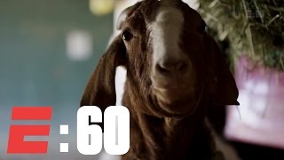 The Derby Horses And Their Barnyard Buddies | E:60 | ESPN Archives