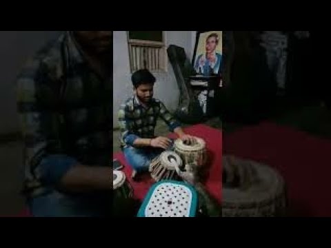 Funny cat video cats in a funny mood Funny animal video Funny cat video