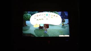 Selling Fish to CJ in Animal Crossing New Horizons