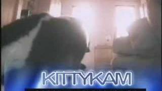 KittyKam 37
