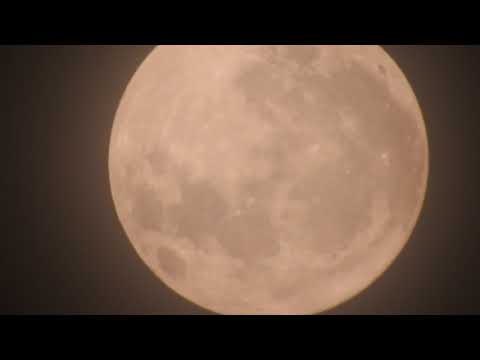 Lua Cheia 03/11/2017  100%  fase Crescente L044 filmada 04/11/2017 às 02h44