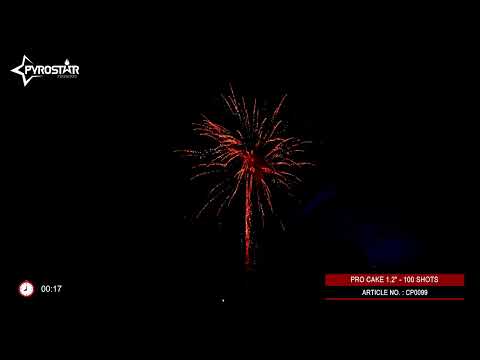 CP0099 100 SHOT DISPLAY CAKE