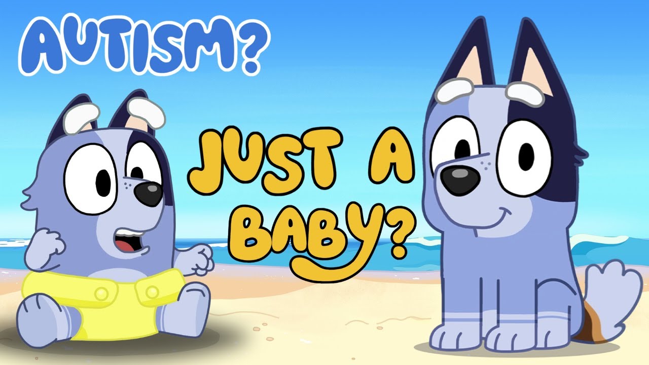 What's WRONG With SOCKS ?! BLUEY Explained