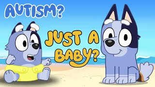 What's WRONG With SOCKS ! BLUEY Explained