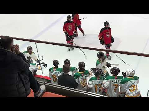 2nd - U15 AA CNHA Green vs U15 AA West Central Tigers December 7, 2024 P2