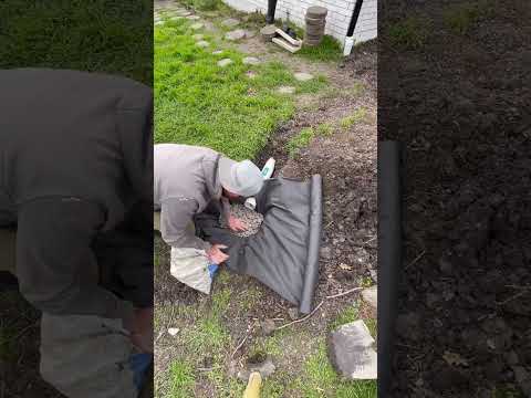 My way or the HIGHWAY !! #drainage #tips #diy #shorts #lifehack #landscaping