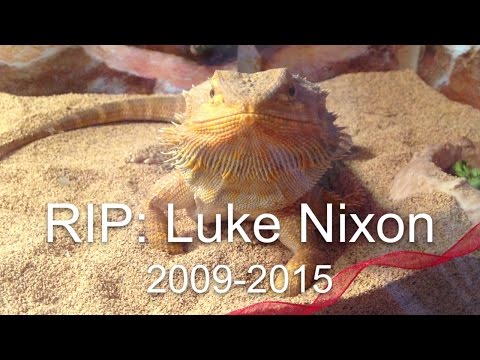 RIP: Luke Nixon|2009-2015