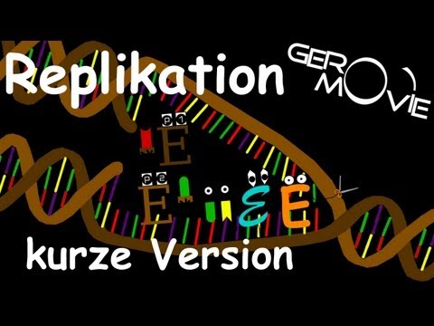 DNA-Replikation Biologie GeroMovie (kurze Version)