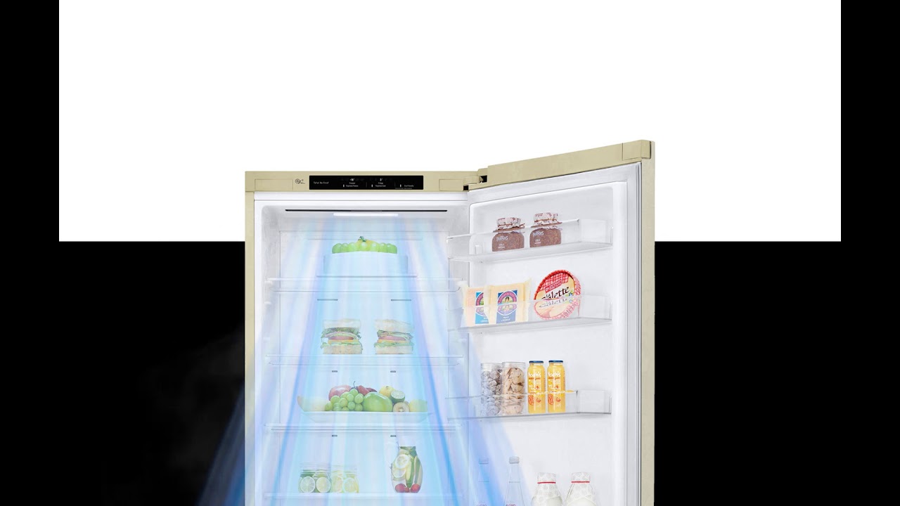 Двокамерний холодильник LG GA-B509CEZM video preview