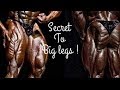 Why your legs aren’t growing ? How to get big legs!!
