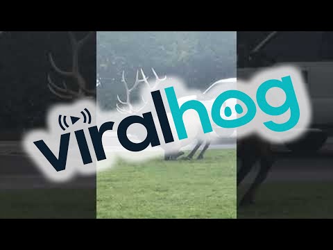 Click to play on YouTube