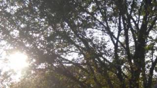 Heard What You Said About Me - Juvenile