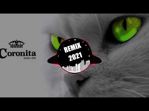 Bolondos Coronita Minimal Techno Music Mix 2021 (MIXED BY: REMIX RECORDS)