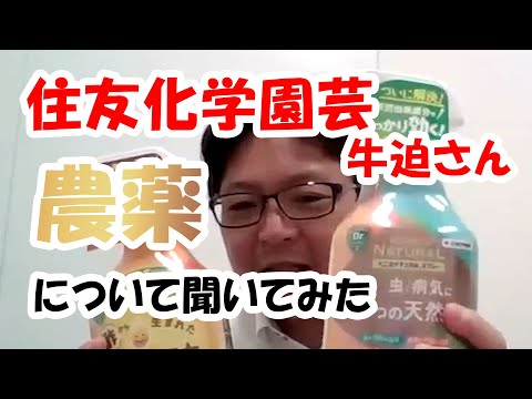 カブトムシも農薬の影響を受ける