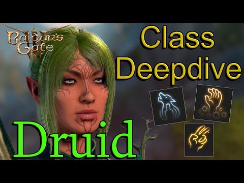 Ultimate Druid Class Guide | Baldur's Gate 3
