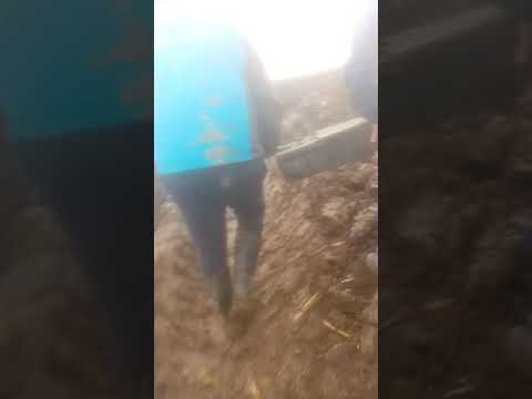 Cutia neagră la FEND 939 găsită Seulia de Mureș!