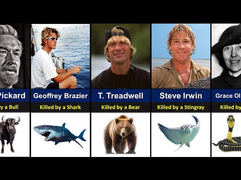 Celebrities & Famous People Who Were Shockingly KILLED BY ANIMALS