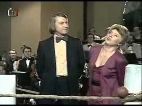 Věra ŠPINAROVÁ - Jízdenka