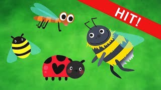Bąki z łąki Music Video