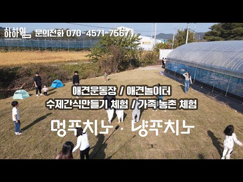 하하웜 반려동물 운동장, 반려동물 놀이터, 멍푸치노, 냥푸치노, 수제간식체험