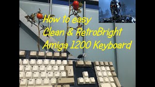 How to easy Clean & RetroBright Amiga 1200 Keyboard