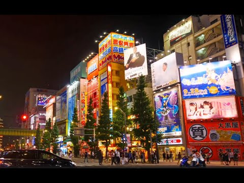 Akihabara Unveiled: Japan's Otaku & Electric Town