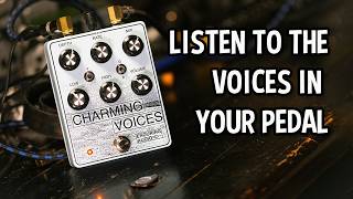 Video thumbnail for Charming Voice by Enduring Audio - Classic, yet Capable by Stompbox Breakdown