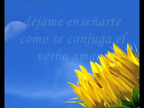 25horas al dia - proyecto uno (con letra)