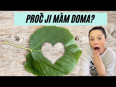 Proč mít doma  Euronu?