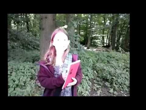 Der Waldteufel - 1 Film 1 Tag