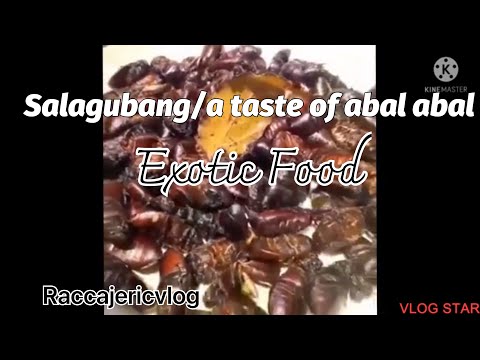 Salagubang / Um Sabor de Abal Abal / Comida Exótica #jeric