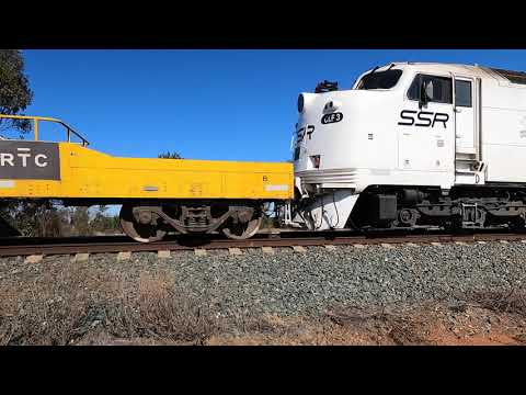 CLP12 & CLF4 McIntyres Reserve NSW.  Tue 16th May 2023