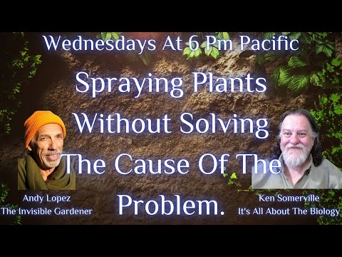 問題の原因を解決せずに植物にスプレーする。