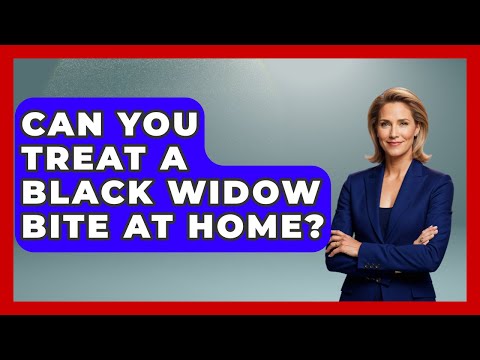 Can You Treat A Black Widow Bite At Home? - First Response Medicine