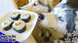 How to Make Sushi for Dogs | DIY Dog Treats Recipe 95 | Dogs Eating Sushi