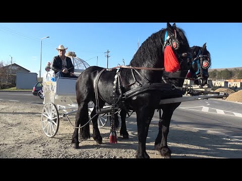 Trasuri evenimente cu Dorin de la Cluj - 2024 Nou!!!