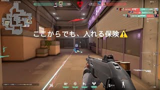 ここからでも、入れる保険。