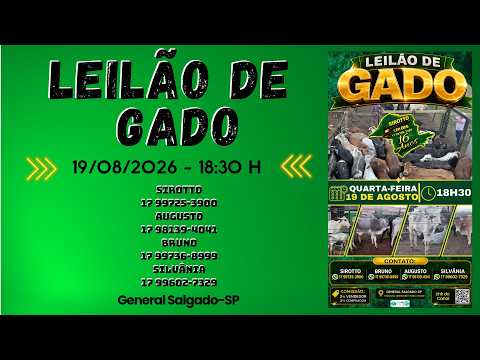 LEILÃO DE GADO  -  SIROTTO LEILÕES - GENERAL SALGADO - SP  - 19/08/2026