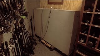 Video thumbnail for Ecoplate II Plate Reverb Hardware Demo by BIG EGO
