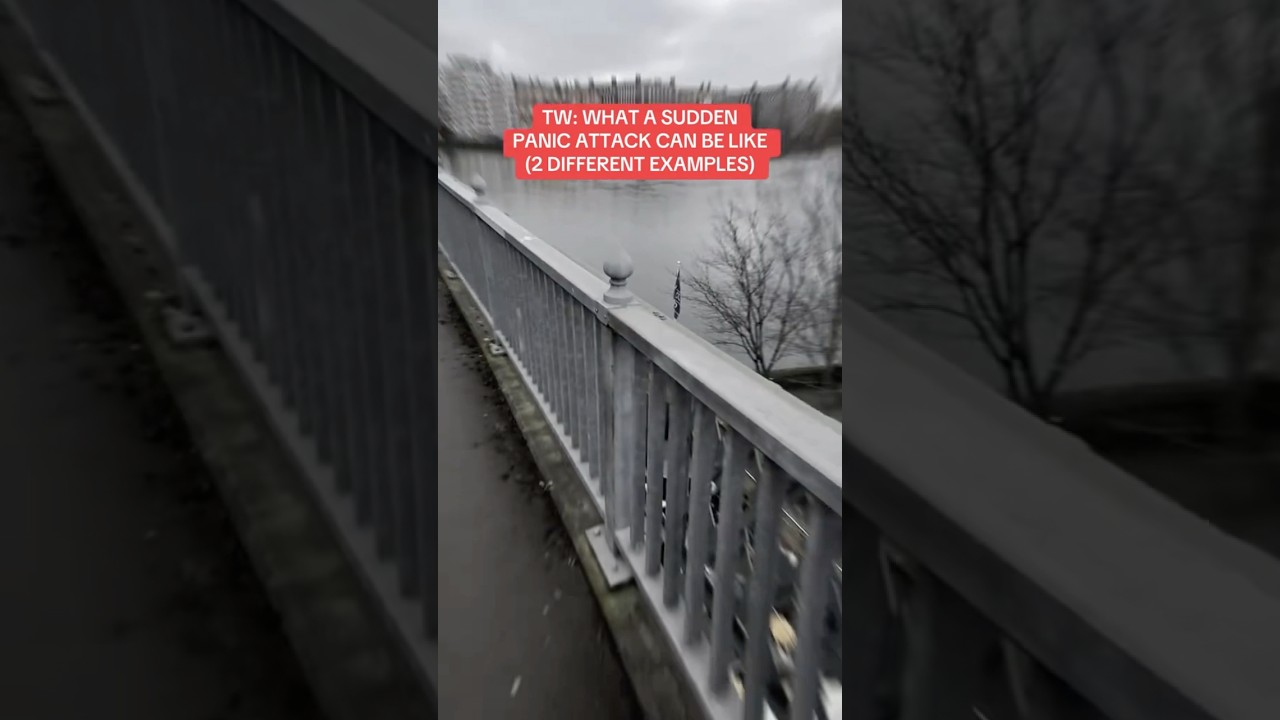 REALISTIC PANIC ATTACK SIMULATION (2 examples) #panicattack #anxiety