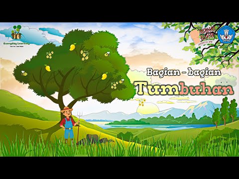 media ajar dengan vidio animasi bagian tubuh tumbuhan