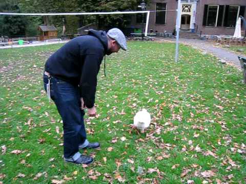 Gus feeds a Goose!