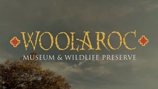 preview picture of video 'Woolaroc Sanctuary'