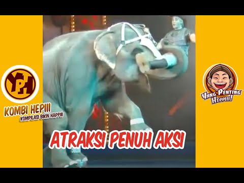 atraksi-penuh-aksi